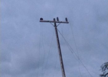 Nuevo robo de cables eléctricos en zona rural de Campeche