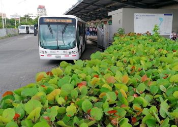 Así será la operación de Transmetro en Navidad y Año Nuevo