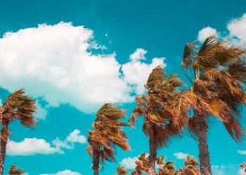 Gobernación del Atlántico entrega recomendaciones para evitar emergencias por fuertes brisas