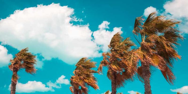 Gobernación del Atlántico entrega recomendaciones para evitar emergencias por fuertes brisas