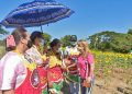 La Ruta del Girasol 2022 recibió 6 mil visitantes en su primer fin de semana