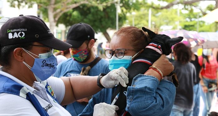 Bienestar animal en Barranquilla: en lo corrido de 2022 se han esterilizado 665 perros y gatos en 20 barrios