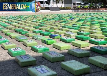 Golpe al narcotráfico, se le cayo la Droga a los Pachenca