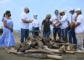 Con la recuperación de madera náufraga se fortalece la economía sostenible