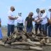 Con la recuperación de madera náufraga se fortalece la economía sostenible