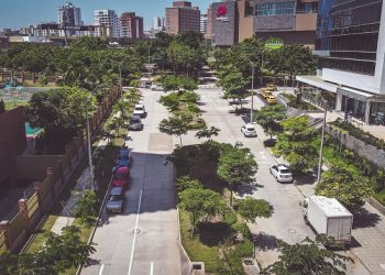 Con riego y mantenimiento diario crecen las zonas verdes en Barranquilla 