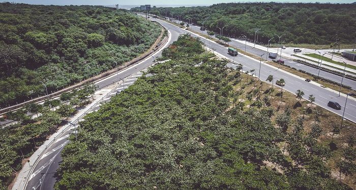 Con riego y mantenimiento diario crecen las zonas verdes en Barranquilla