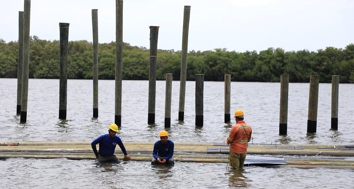 Empezó estabilización de estructuras en Mallorquín