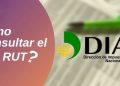 Los colombianos podrán descargar el RUT de manera fácil y rápida, a través del portal único del Estado   