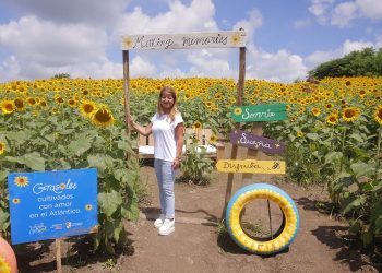 “La Ruta del Girasol en Galapa beneficia a más de 100 familias que trabajan en el proyecto”: Elsa Noguera