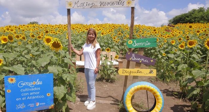 “La Ruta del Girasol en Galapa beneficia a más de 100 familias que trabajan en el proyecto”: Elsa Noguera