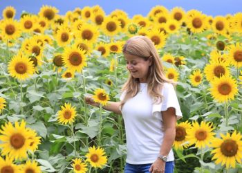 Regresa la Ruta del Girasol con una nueva parada en Galapa”: Elsa Noguera