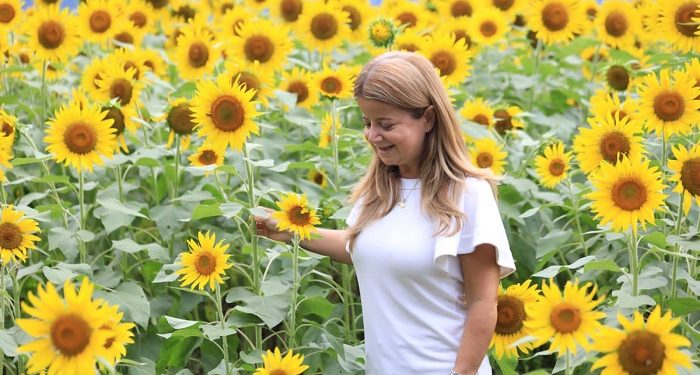 Regresa la Ruta del Girasol con una nueva parada en Galapa”: Elsa Noguera