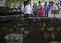 “Con la recuperación de 10 pozos de aguas medicinales, Usiacurí volverá a estar en el radar del turismo mundial”: Elsa Noguera
