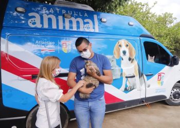 Bienestar Animal del Atlántico, esterilizó 3.263 caninos y felinos durante el primer semestre de 2022