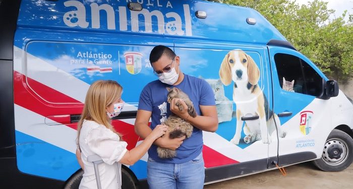Bienestar Animal del Atlántico, esterilizó 3.263 caninos y felinos durante el primer semestre de 2022