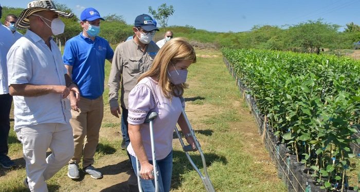 El campo del sur del Atlántico renace con agua 24/7