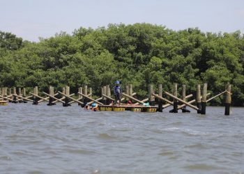 Segunda etapa del Ecoparque Mallorquín muestra avances significativos 