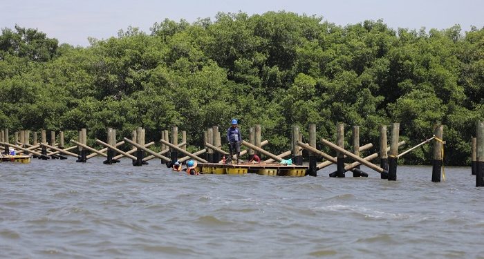 Segunda etapa del Ecoparque Mallorquín muestra avances significativos
