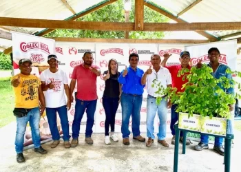 Lo que era un sueño, hoy es una realidad: Vivero Coolechera