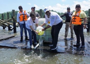 En tres meses, primeros resultados de descontaminación con microalgas en aguas de Mallorquín