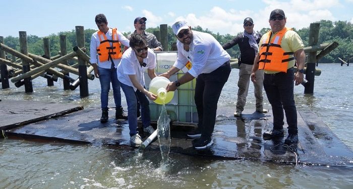 En tres meses, primeros resultados de descontaminación con microalgas en aguas de Mallorquín