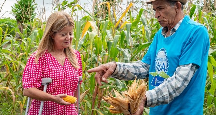 Con la versión 2022 de ‘Semillas de Vida’, 1.650 campesinos del Atlántico tienen seguridad alimentaria y están generando ingresos