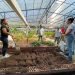 Promoción y formación en agricultura urbana, un paso más que fortalece a Barranquilla como biodiverciudad