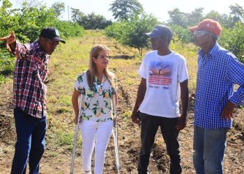 La agroindustria del limón tahití pone a toda marcha el desarrollo del campo en Repelón