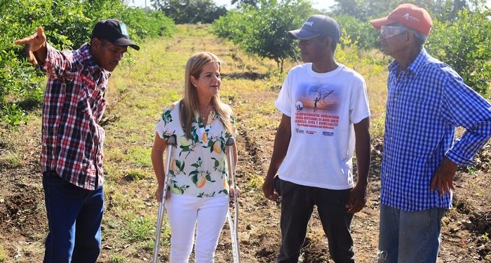 La agroindustria del limón tahití pone a toda marcha el desarrollo del campo en Repelón