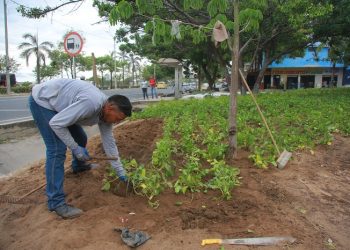 Barranquilla se sigue consolidando como una biodiverciudad 