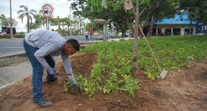 Barranquilla se sigue consolidando como una biodiverciudad