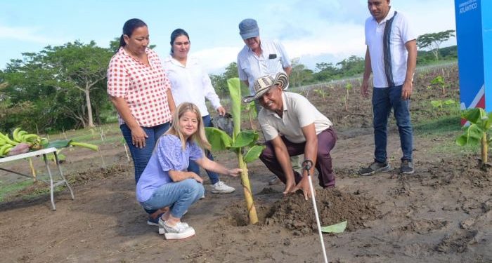 Gobernación del Atlántico promueve el agronegocio en Santa Lucía y Suan