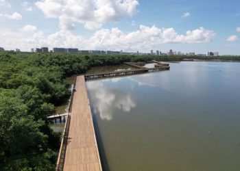 Nuevos senderos del Ecoparque Ciénaga de Mallorquín son habilitados al público 