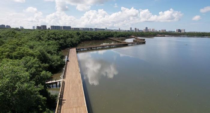 Nuevos senderos del Ecoparque Ciénaga de Mallorquín son habilitados al público