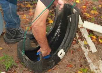 En Soledad, todos contra el Dengue