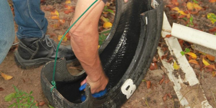 En Soledad, todos contra el Dengue