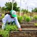Primer parque productivo de Latinoamérica para agricultura urbana está en Barranquilla