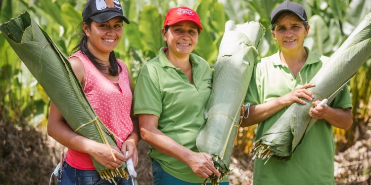 El programa Mujer con Propiedad llega a Barranquilla con jornada gratuita de asesorías jurídicas