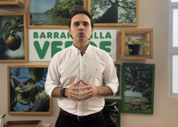 12.000 plántulas se entregarán a la comunidad para fomentar la protección de la palma de cera con ocasión del Domingo de Ramos