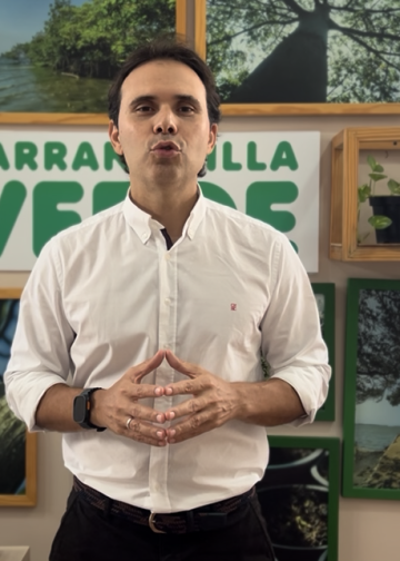 12.000 plántulas se entregarán a la comunidad para fomentar la protección de la palma de cera con ocasión del Domingo de Ramos