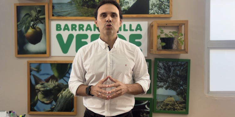 12.000 plántulas se entregarán a la comunidad para fomentar la protección de la palma de cera con ocasión del Domingo de Ramos