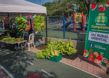 III Mercado Campesino de Soledad impulsa la economía rural con 13 asociaciones participantes