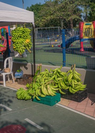 III Mercado Campesino de Soledad impulsa la economía rural con 13 asociaciones participantes