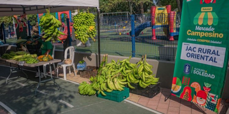III Mercado Campesino de Soledad impulsa la economía rural con 13 asociaciones participantes